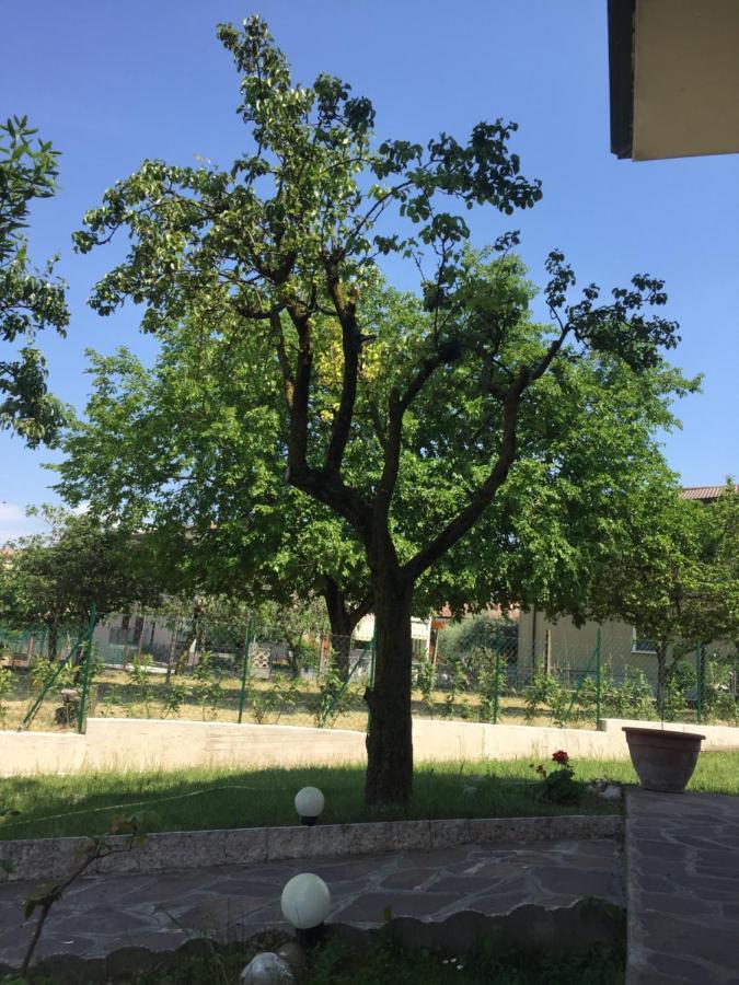 Villa Rita Monzambano Dış mekan fotoğraf